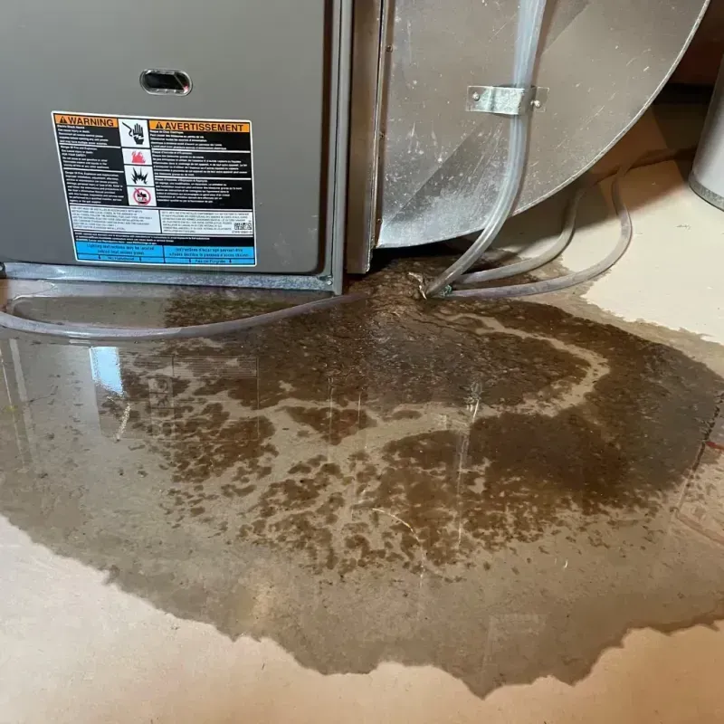 Appliance Leak Cleanup in Stokesdale, NC